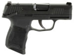 Sig Sauer 365380BSSMSMA P365  380 10+1 3.10" Nitron