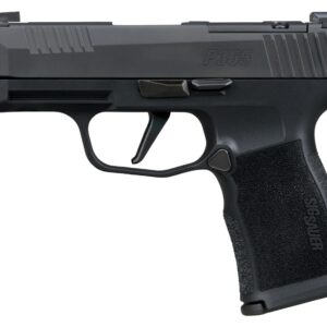 Sig Sauer 365XL380COMP P365XL  380 ACP 12+1 3.10" Black Ported Barrel, Black Nitron Stainless Steel Optic Cut/Ported/Serrated Slide, Black Stainless Steel Frame w/Picatinny Rail, Textured Grip, SIG-LO