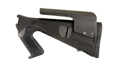 MESA91550_1.jpg