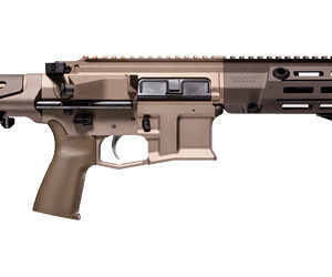 MAXIM PDX SBR 300BLK 5.5" 20RD FDE