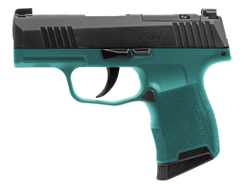 P365BB.jpg