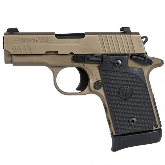SIG209389ESCPNAMBI.jpg