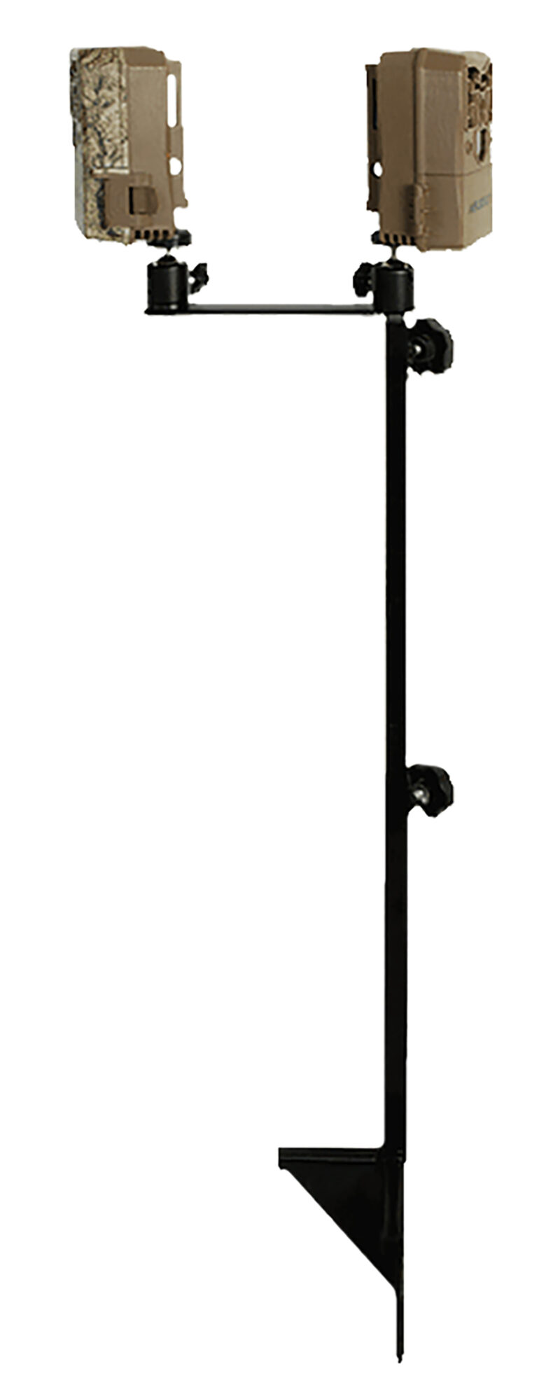 136440.jpg