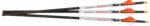 Ravin Crossbows R144 Lighted Arrows  500 Grain 100% Pure Carbon 3 Pack
