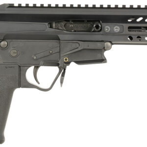 Patriot Ordnance Factory 1678 PSG  22 LR 10+1 7.75" Match Grade Threaded Barrel, Black Anodized Receiver w/Picatinny Rail, M-LOK Handguard, Black MFT Grip