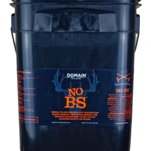 DOMAIN NBSFP45     NO BS