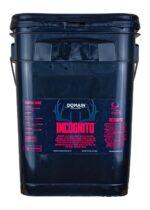 DOMAIN INCFP325    INCOGNITO