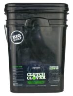 DOMAIN CCFP225     CLUTCH CLOVER