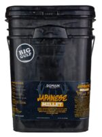 DOMAIN DJMS4LB     JAPANESE MILLET