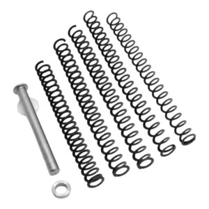 TRUE 365XLSTK       RECOIL SPRNG TUNING KIT P365XL