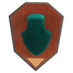 ALLEN DEER ANTLER MOUNT GREEN
