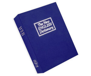 BULLDOG DIVERSION SAFE BL 10.5X7.75