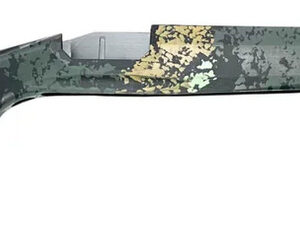 GRAYBOE STOCK FLAGSTAFF SONORAN