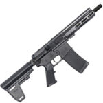 223WYLDE PSTL W/BRC 30RD BLK