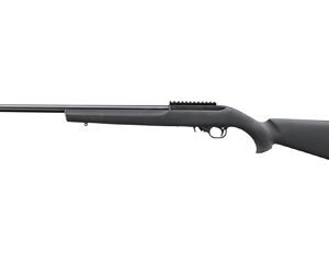 RUGER 10/22 20" TB HOGUE 10RD BLK