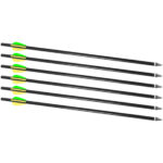 TRAD XBR CRACKSHOT 16 ARROWS 6PK