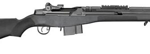 SPR M1A .308 BLACK 22 NY 10RD