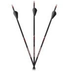 Carbon Express Maxima Sable RZ 350 Hunting Arrows - 12/pk