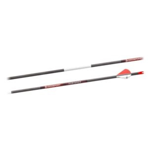 Bloodsport Punisher Arrow 400 Spine 6/pk