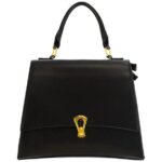 Cameleon Lissa Concealed Carry Handbag Black